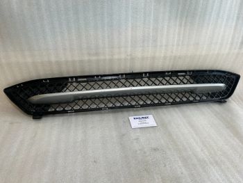 BMW LOWER GRID BUMPER CENTRE GRILLE AIR DUCTS E84 X1 7307792 *490 S5