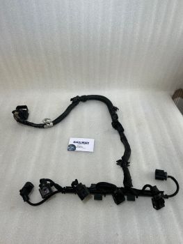 BMW 5 6 SERIES G32 G30 G31 WIRING HARNESS ENGINE INJECTOR MODULE LOOM 520d 518d 525dx B47D B47B 8581459 B102